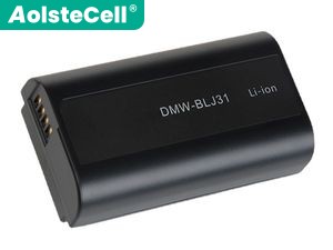 Rechargeable Battery for Panasonic DMW-BLJ31GK