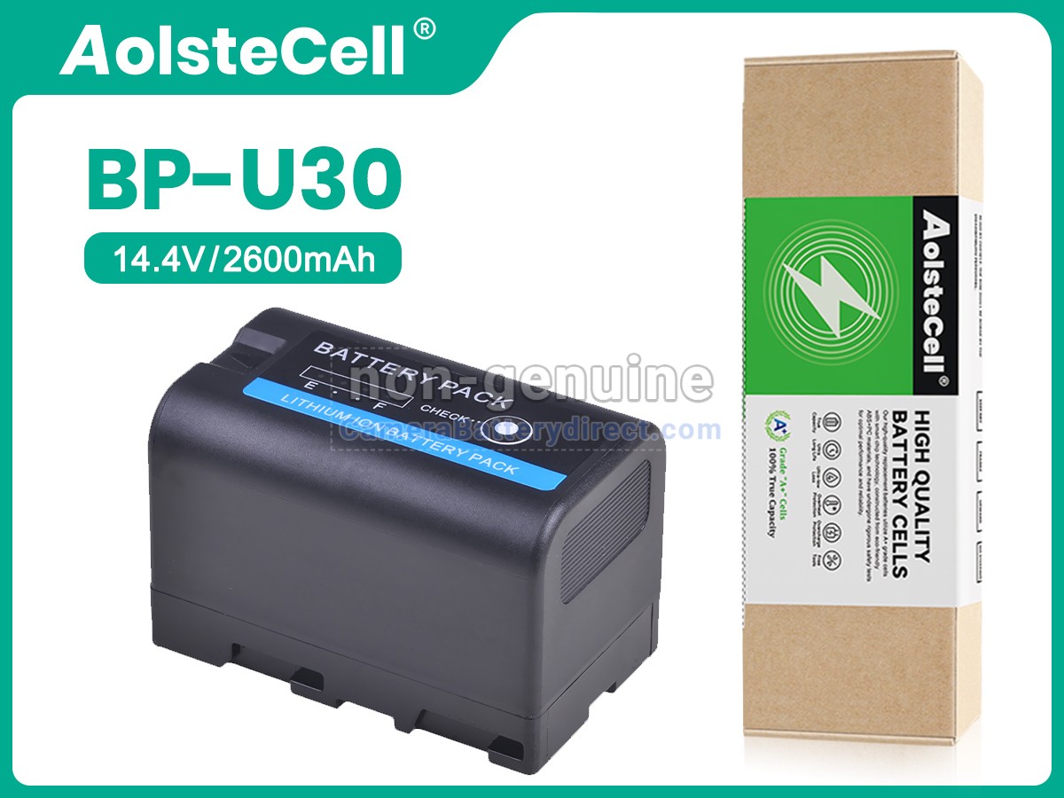 Rechargeable Battery for Sony BP-U30