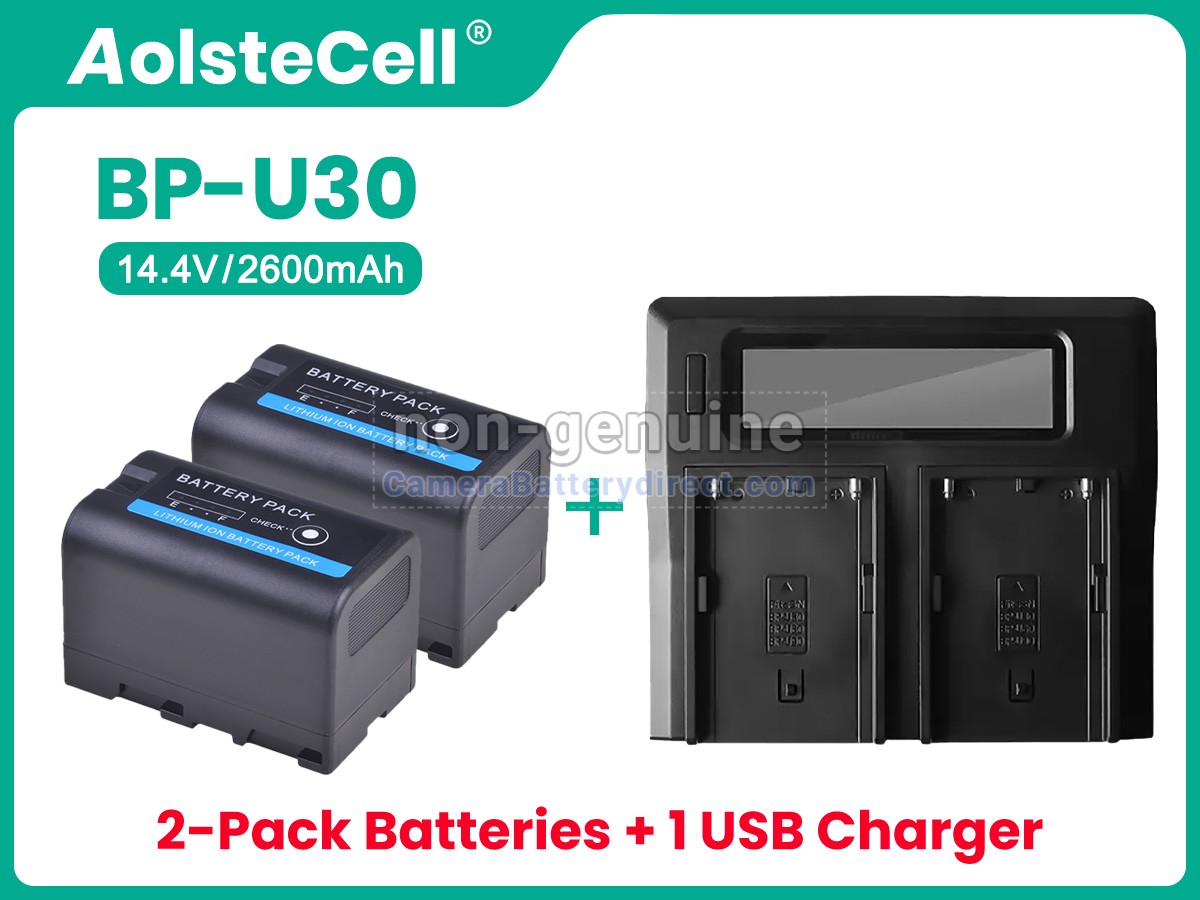 Rechargeable Battery for Sony BP-U30